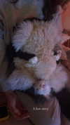 sydney_melman Altpins Profile Picture