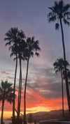 sydney_melman Altpins Profile Picture