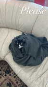 sydney_melman Altpins Profile Picture