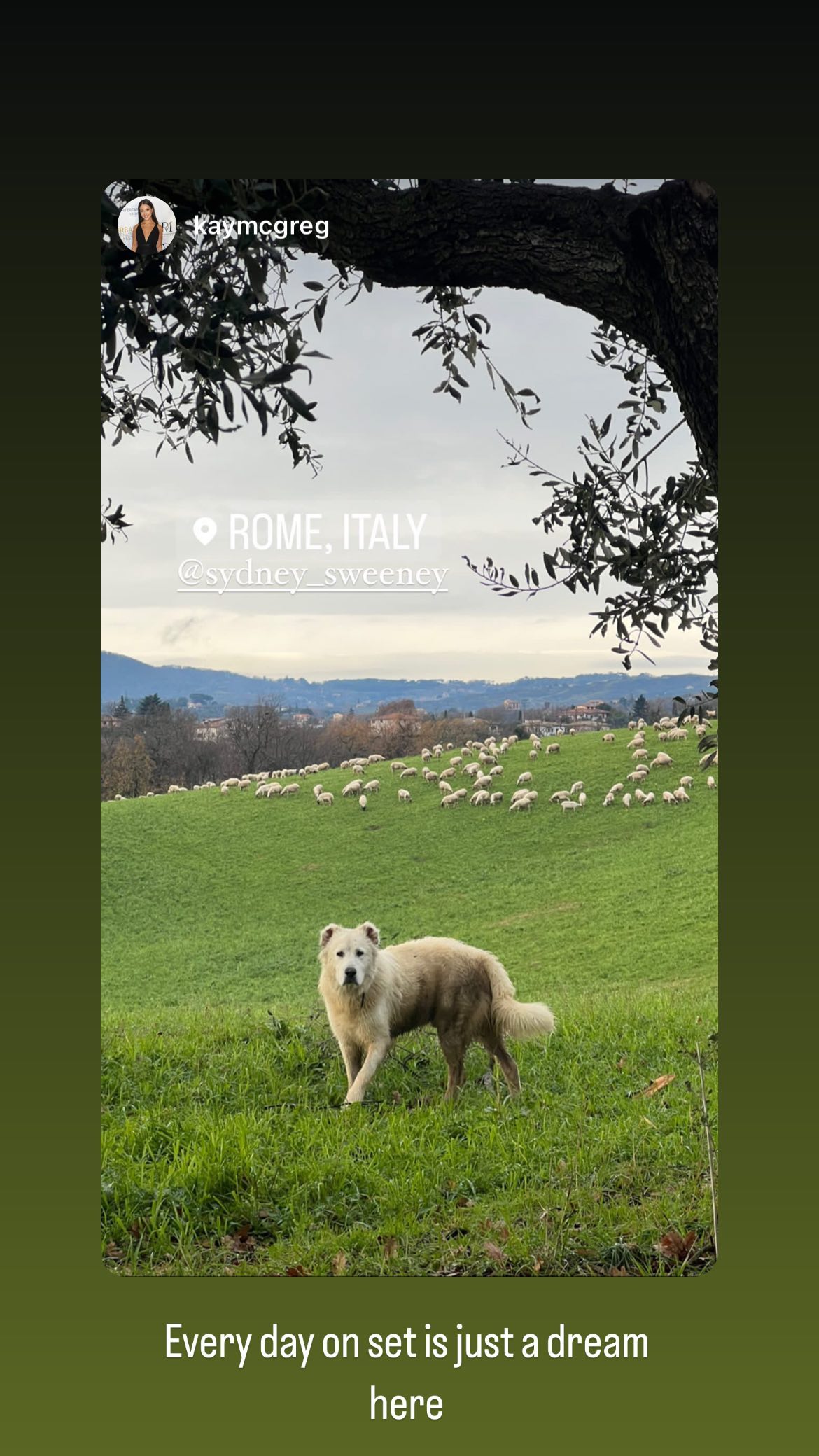 sydney_sweeney instagram image archive image