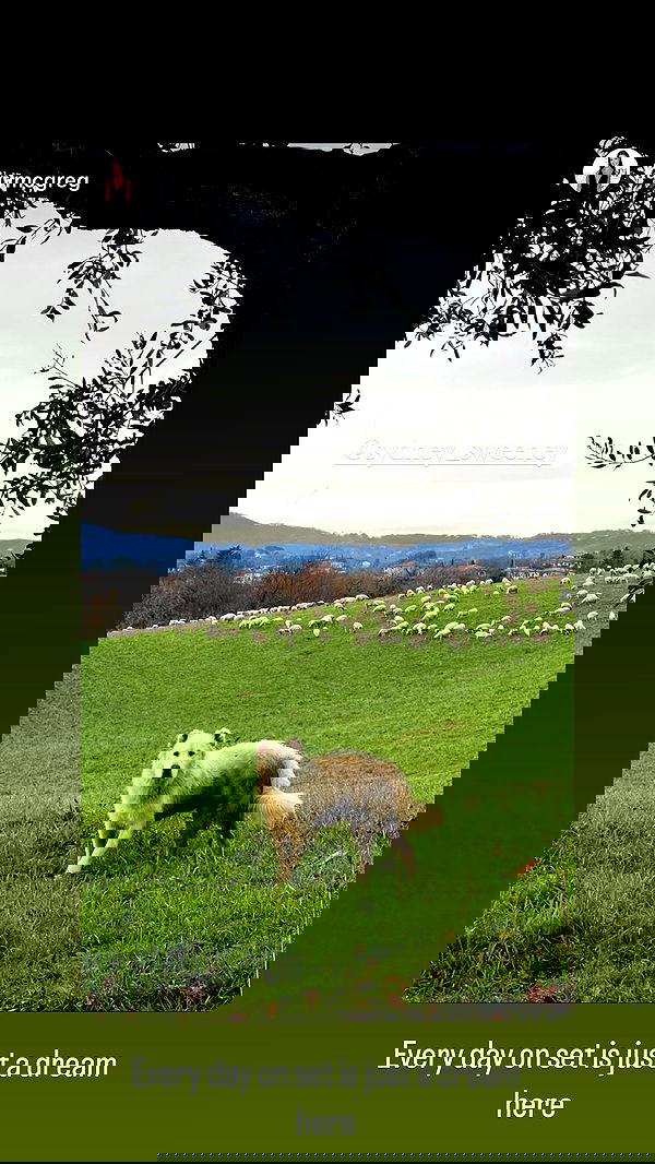 sydney_sweeney image ~ Altpins