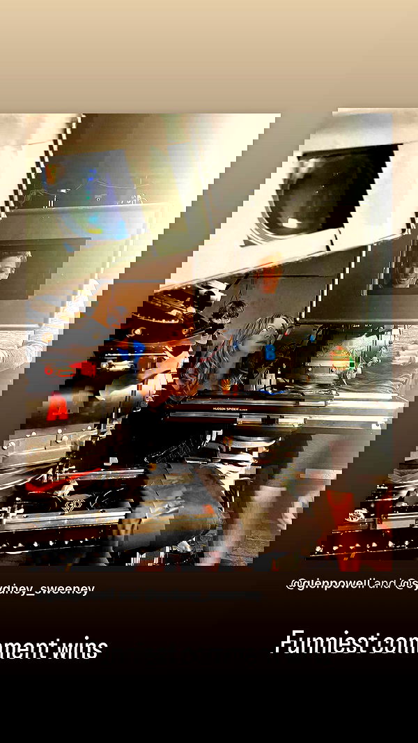 sydney_sweeney image ~ Altpins