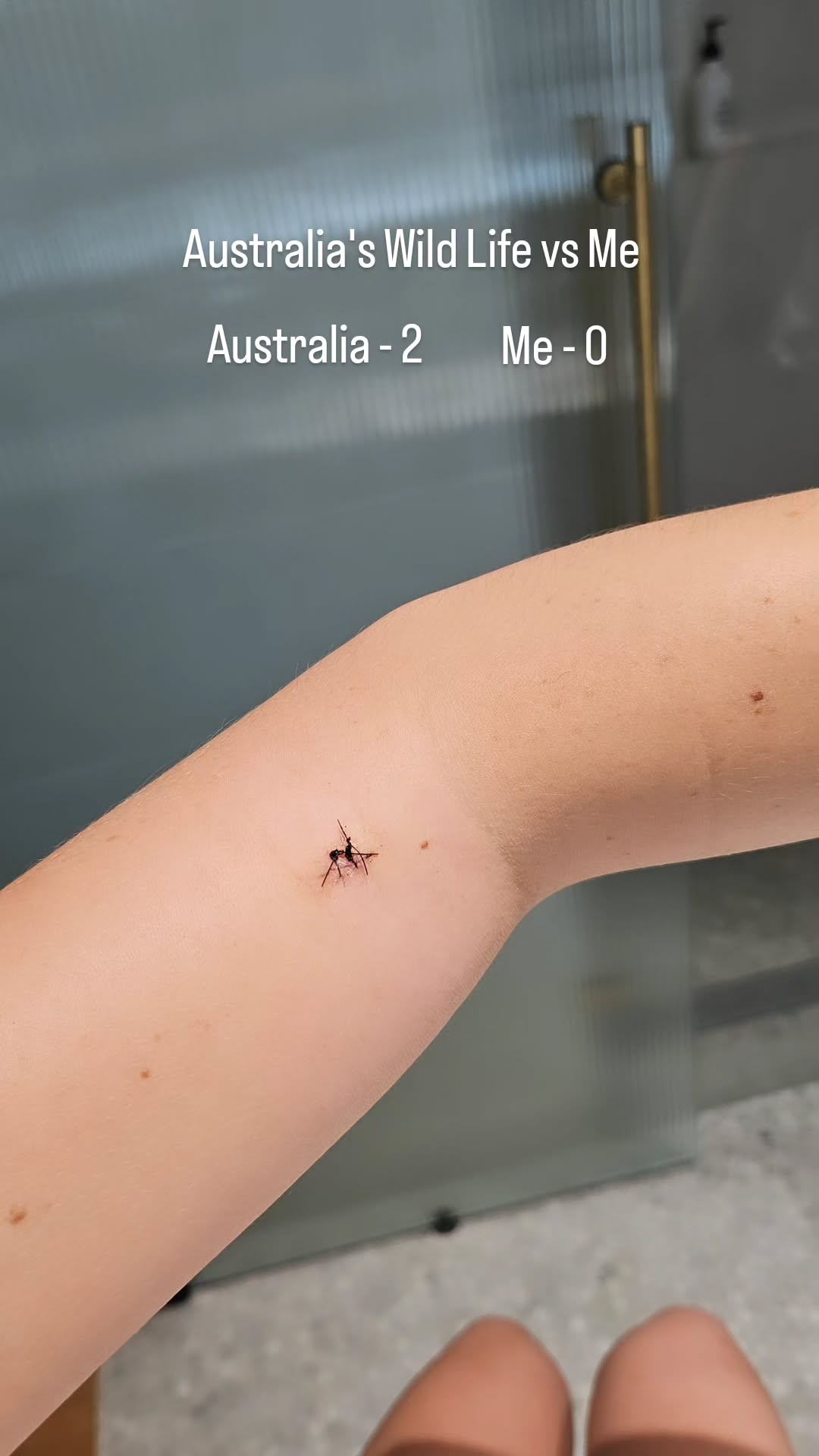 sydney_sweeney instagram image archive image