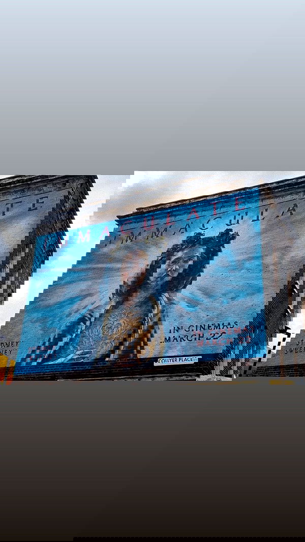 sydney_sweeney image ~ Altpins