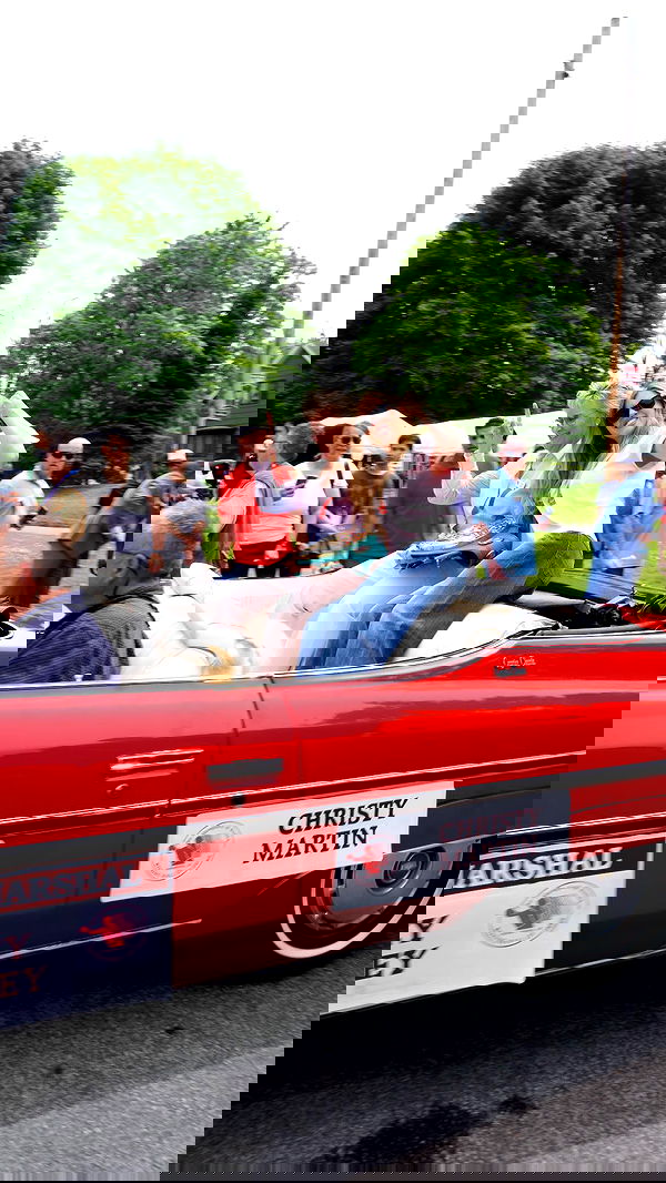 sydney_sweeney image ~ Altpins