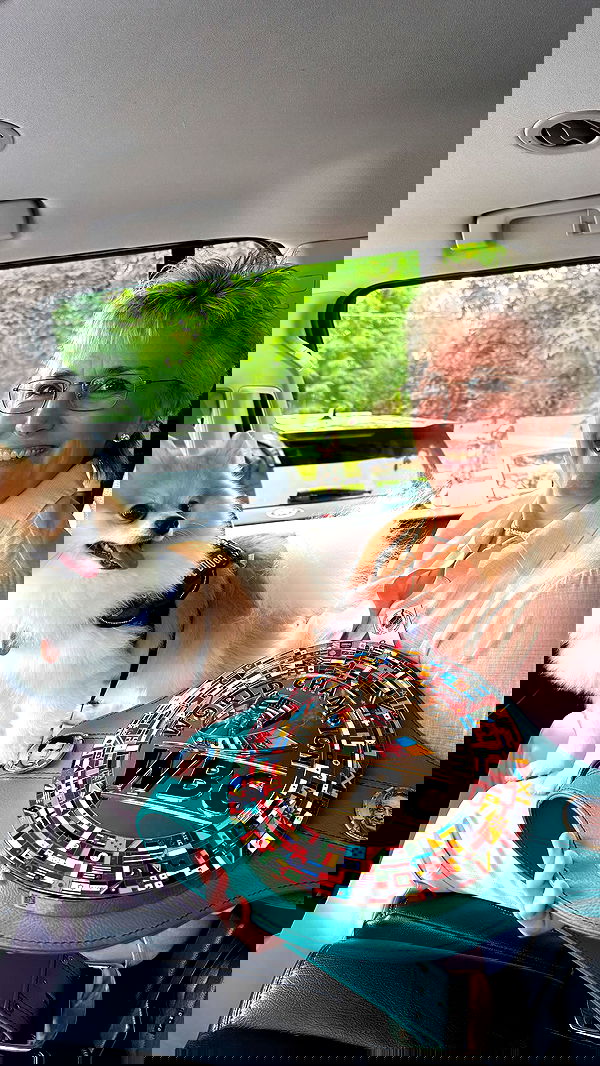 sydney_sweeney image ~ Altpins