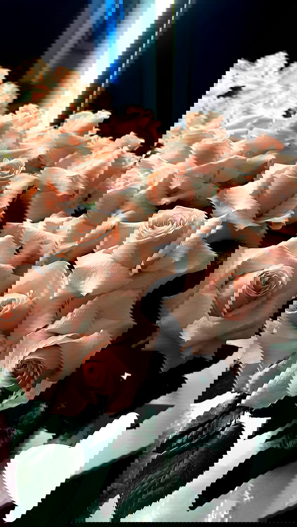 sydney_sweeney image ~ Altpins