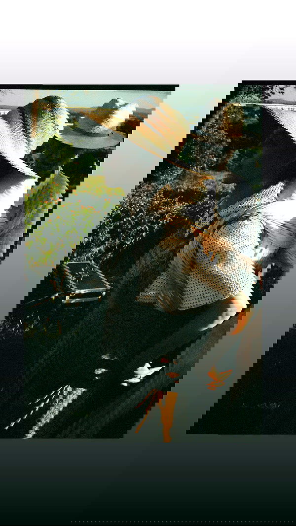 sydney_sweeney image ~ Altpins