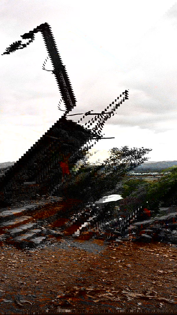 sydney_sweeney image ~ Altpins