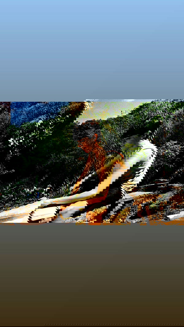 sydney_sweeney image ~ Altpins