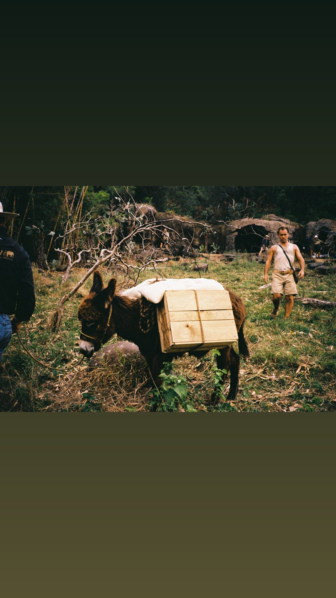 sydney_sweeney instagram image archive image