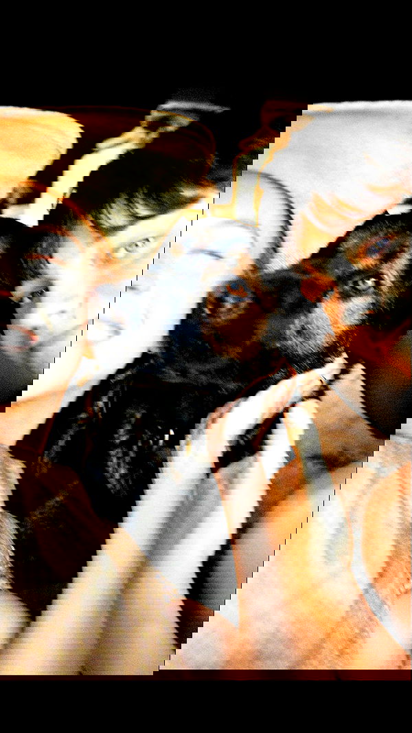 sydney_sweeney image ~ Altpins