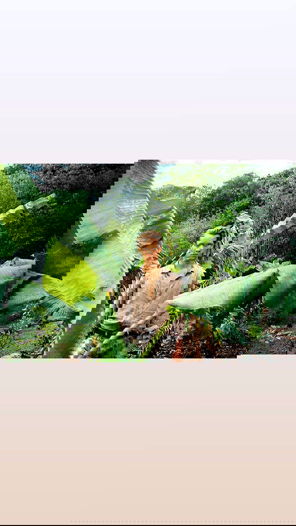 sydney_sweeney image ~ Altpins