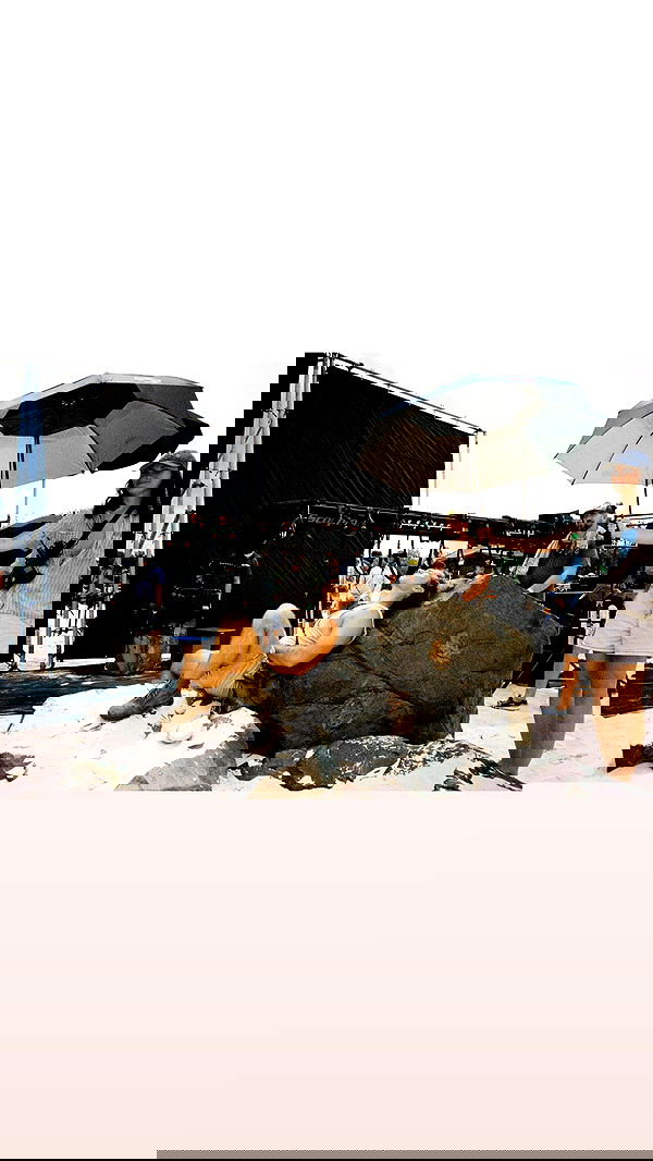 sydney_sweeney image ~ Altpins