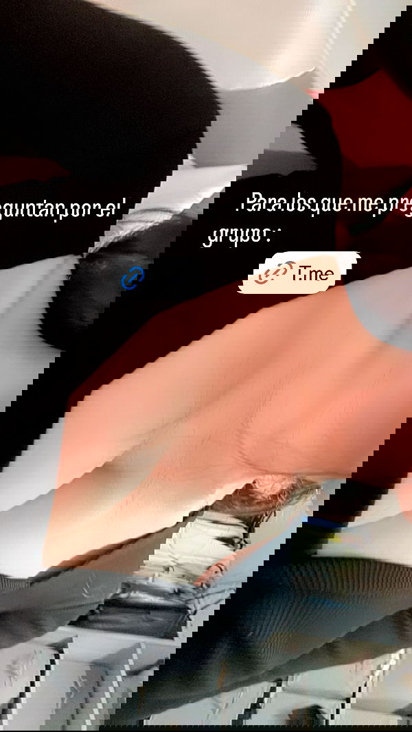 sylunh image ~ Altpins