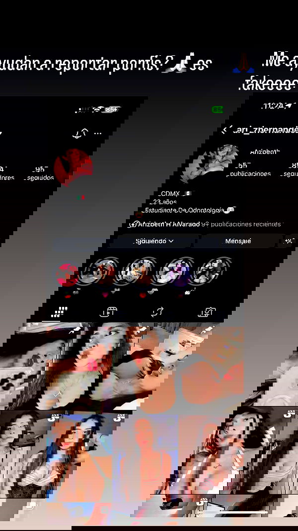 sylunh image ~ Altpins