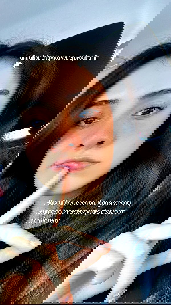 sylunh image ~ Altpins