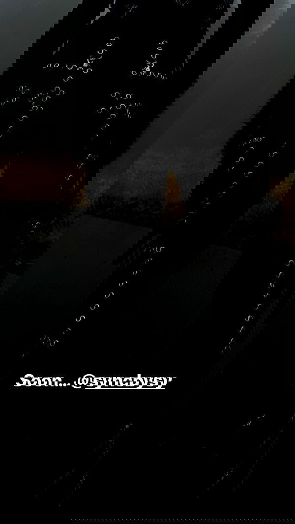 symonery image ~ Altpins