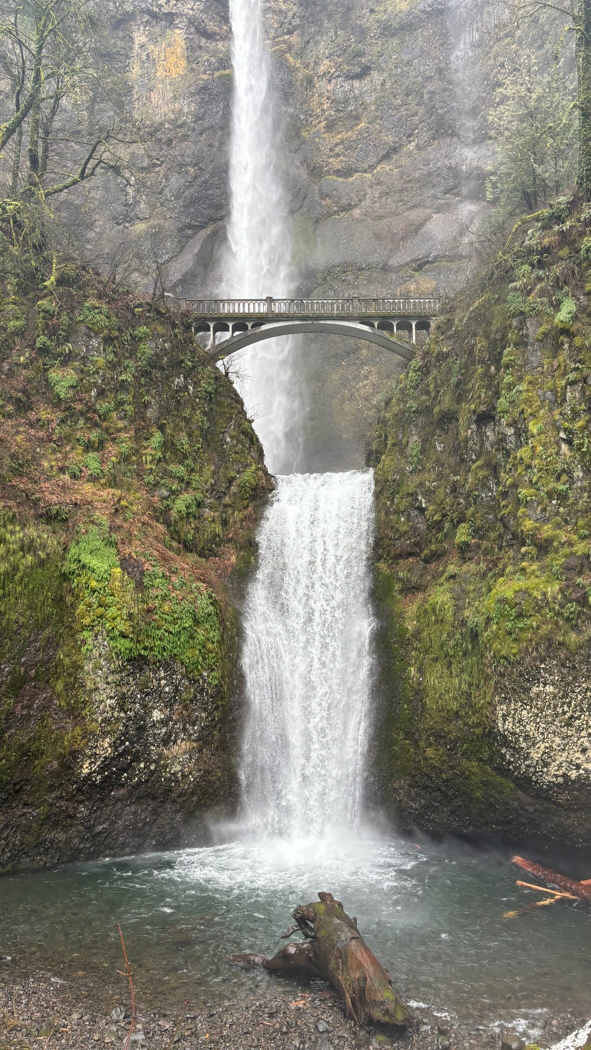 symonery instagram image archive image