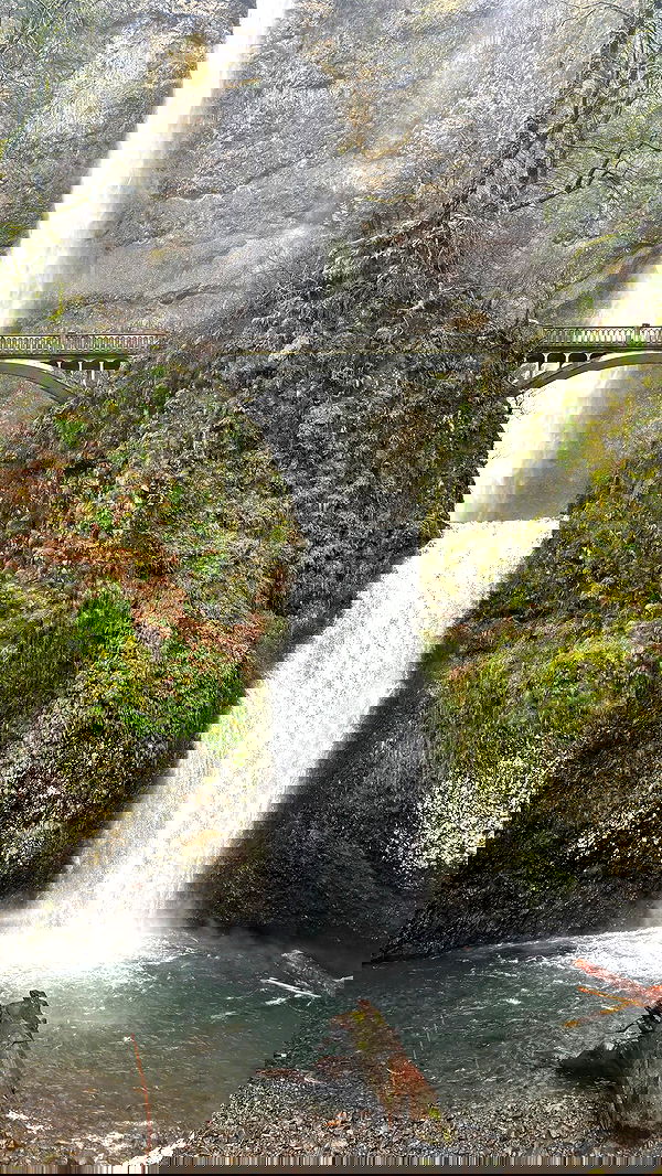 symonery image ~ Altpins