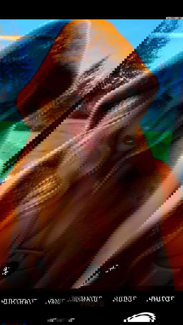 symonery image ~ Altpins