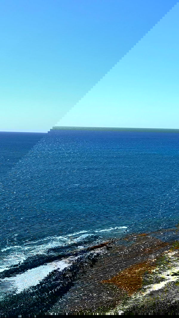 symonery image ~ Altpins