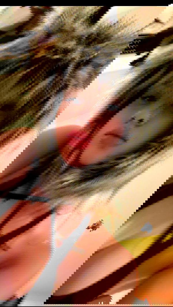 symonery image ~ Altpins