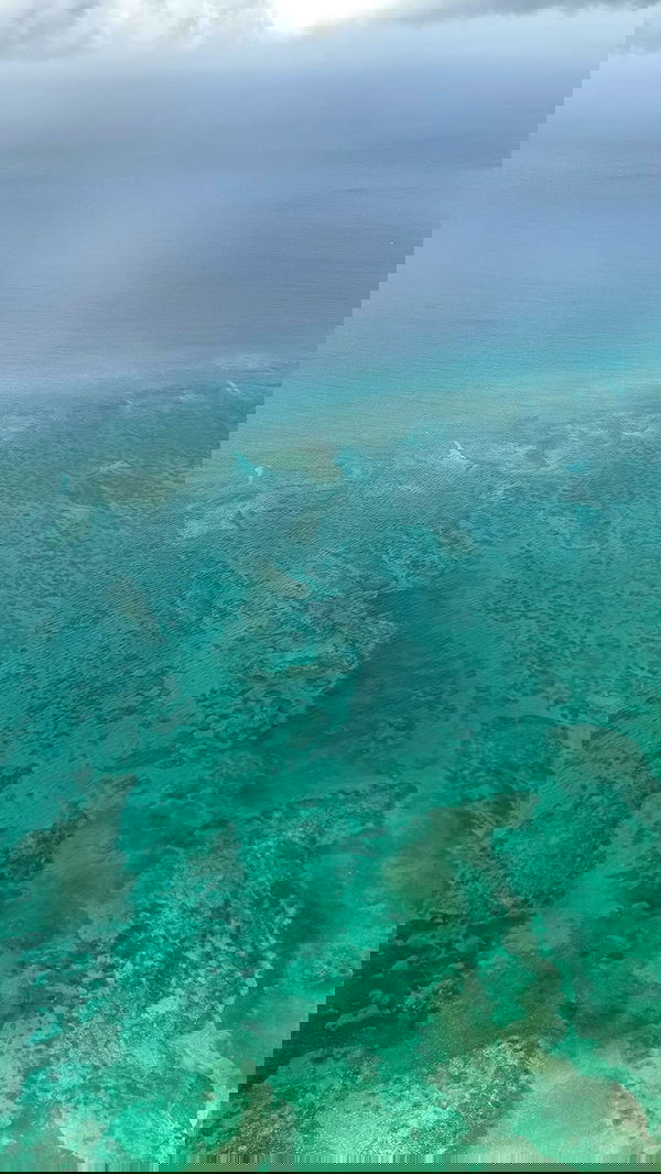 symonery image ~ Altpins