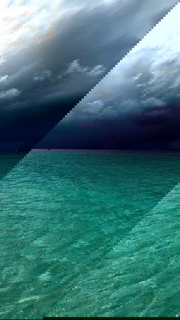 symonery image ~ Altpins