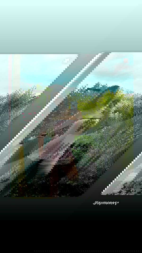 symonery image ~ Altpins