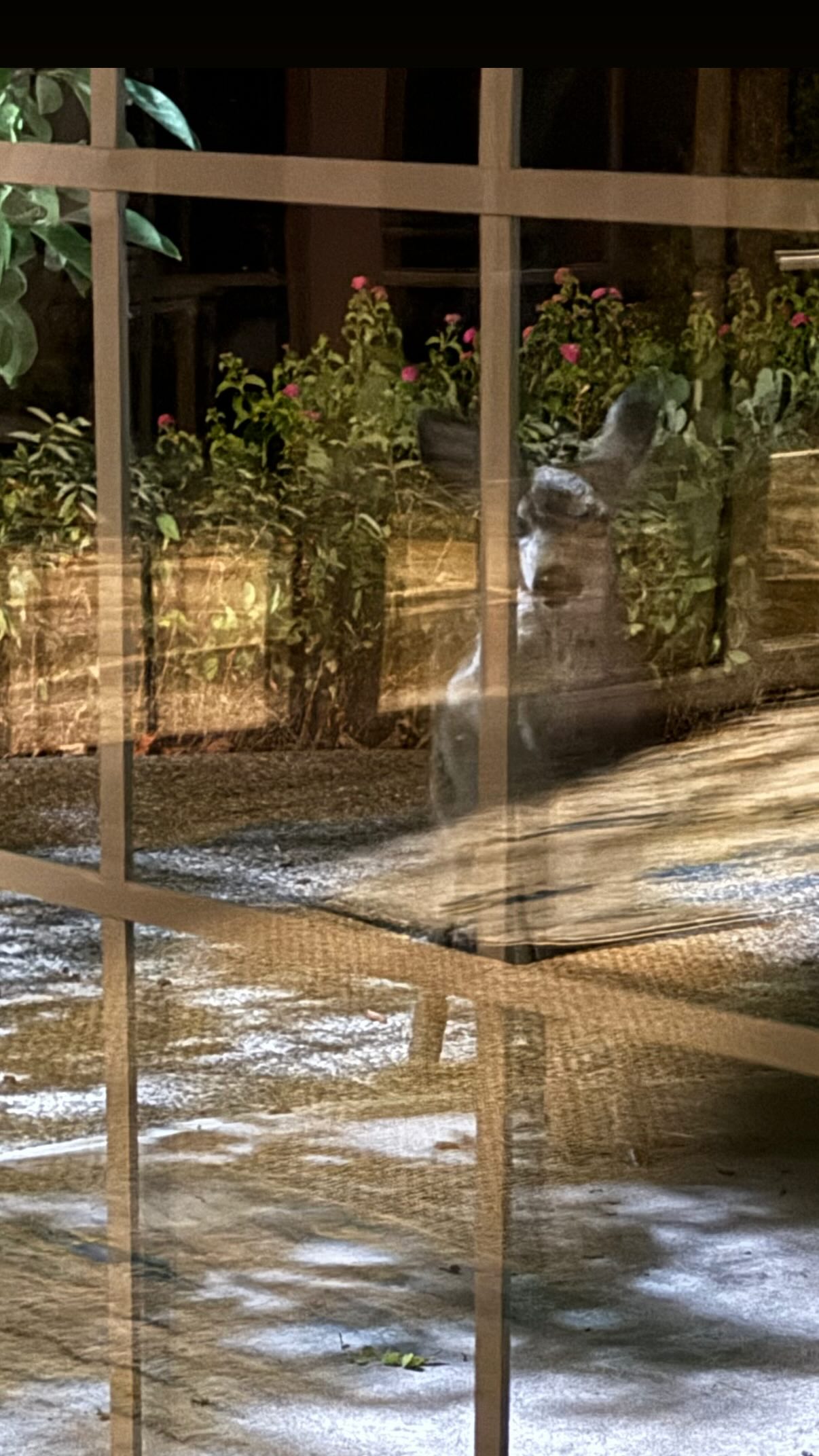 symonery instagram image archive image