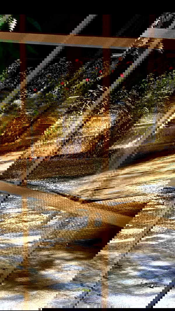 symonery image ~ Altpins