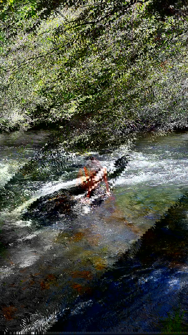 symonery image ~ Altpins