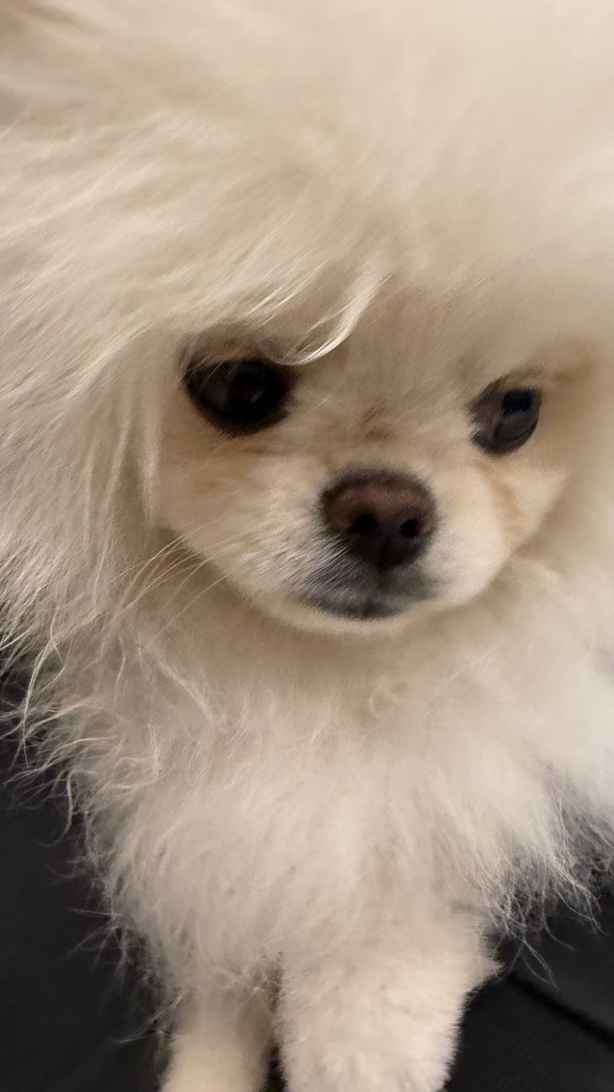 symonery instagram image archive image