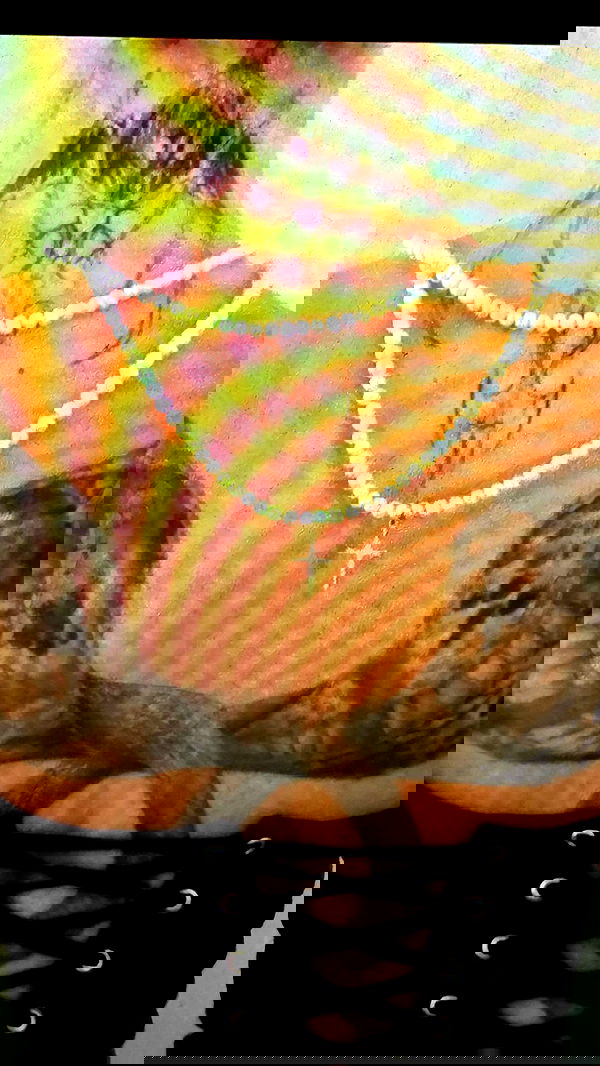 symonery image ~ Altpins