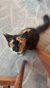 taesroy Altpins Profile Picture