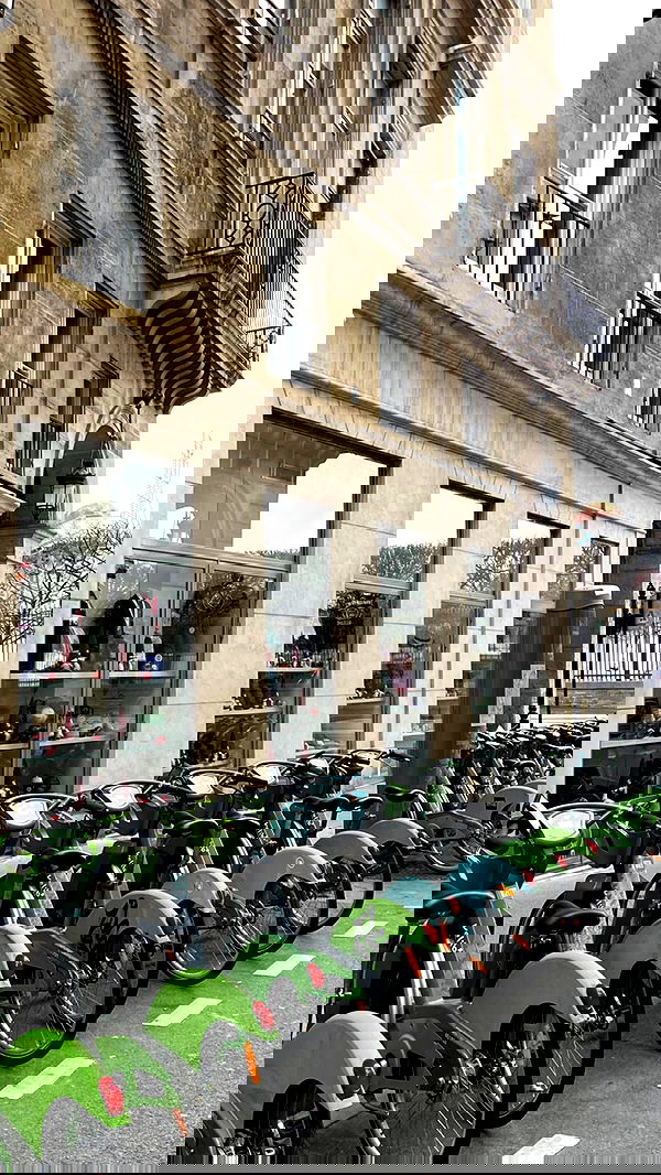 tair_alon tair_alon archive image