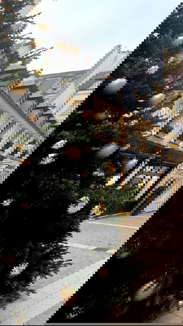 tair_alon tair_alon archive image