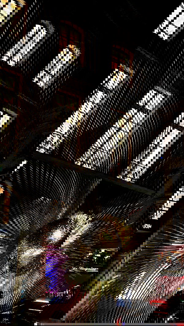 tair_alon tair_alon archive image