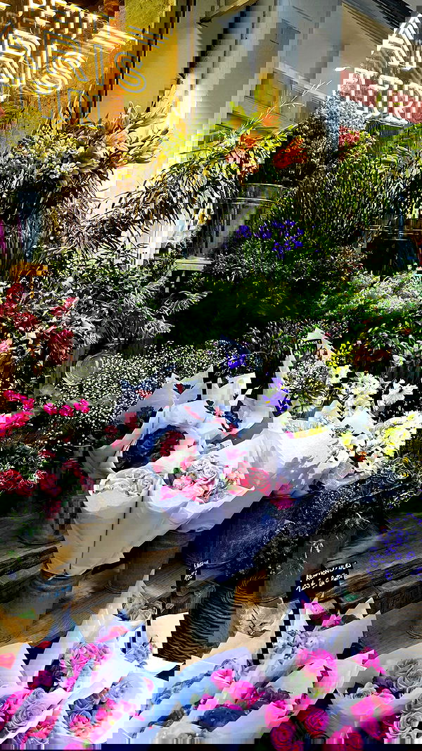 tair_alon tair_alon archive image