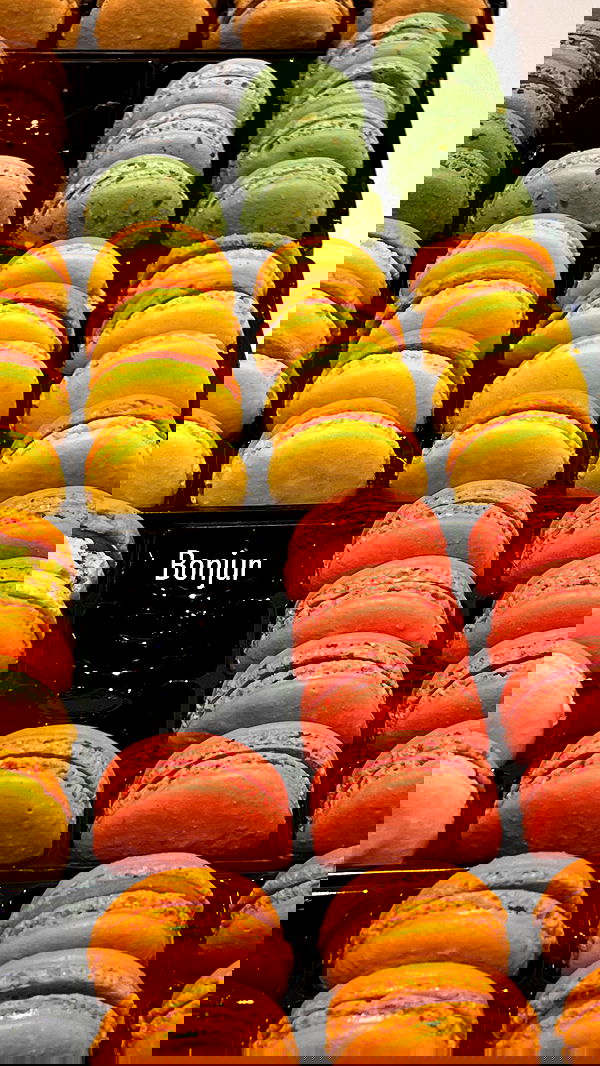 tair_alon tair_alon archive image