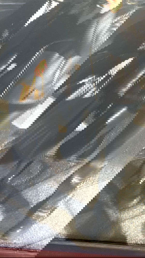 tair_alon tair_alon archive image