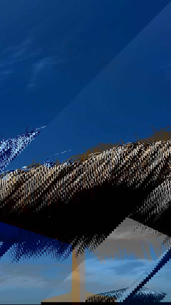 tair_alon tair_alon archive image