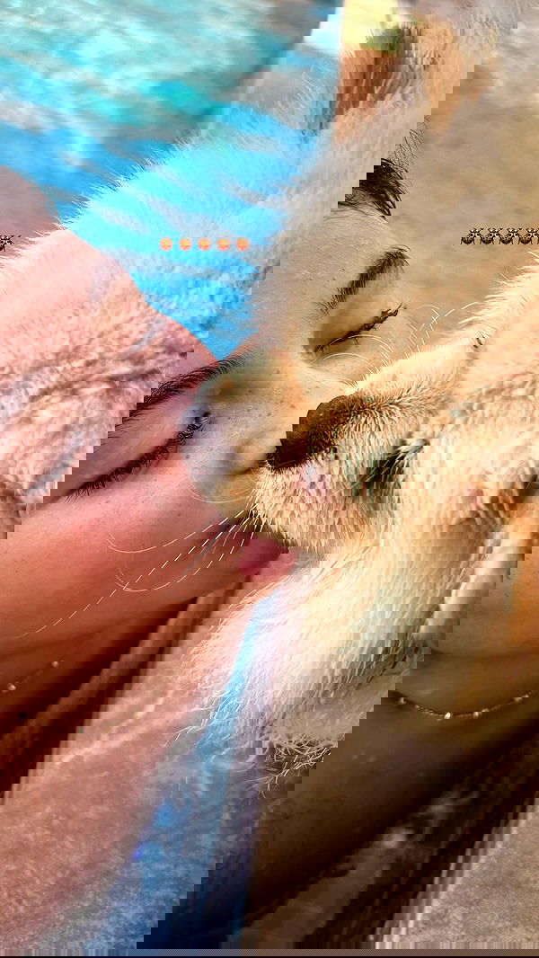 tair_alon tair_alon archive image