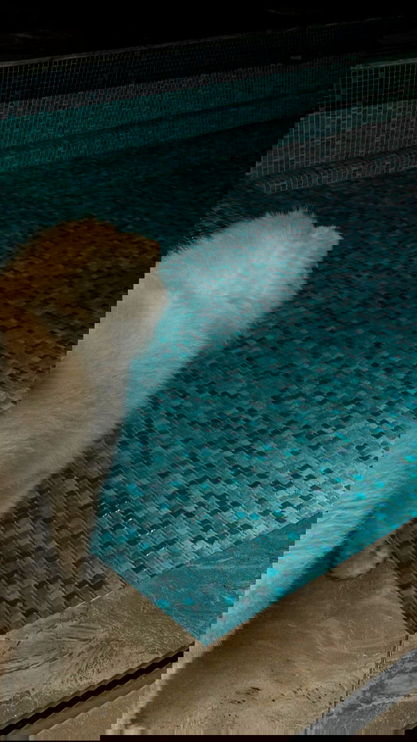 tair_alon tair_alon archive image