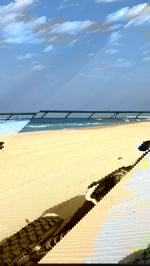 tair_alon tair_alon archive image