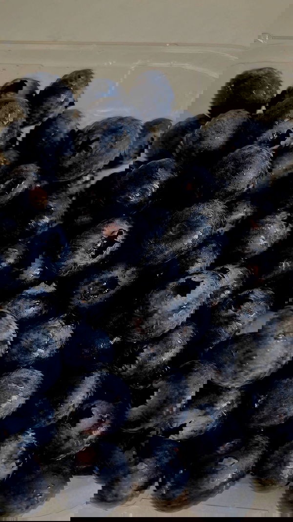 tair_alon tair_alon archive image