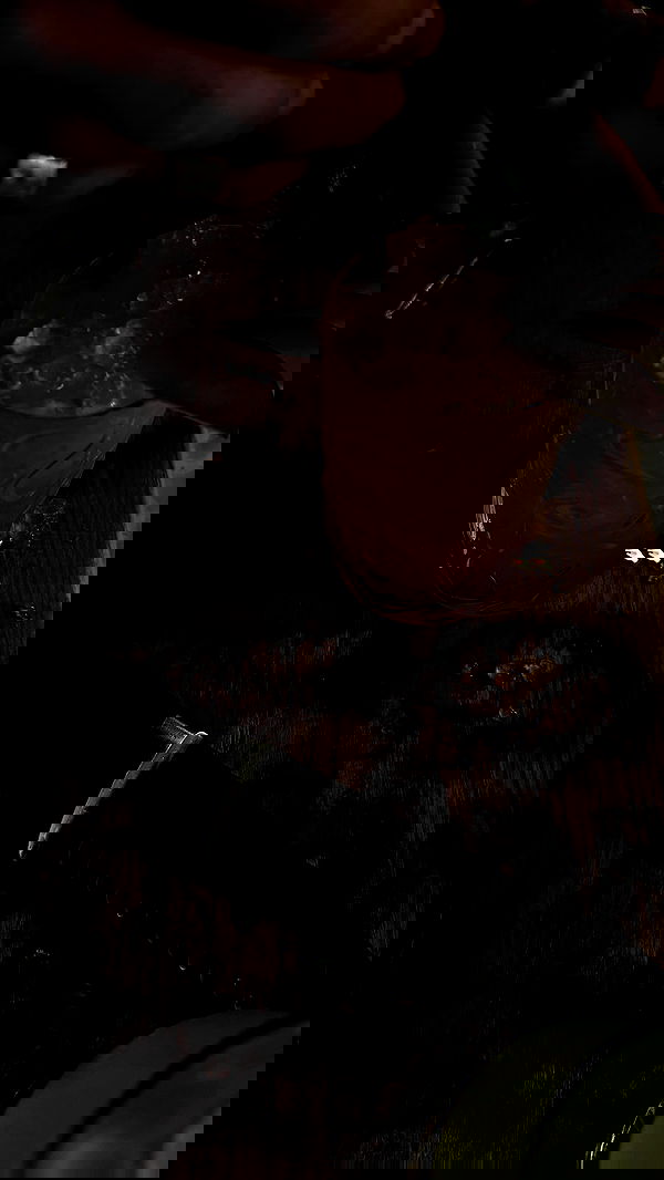 tair_alon tair_alon archive image