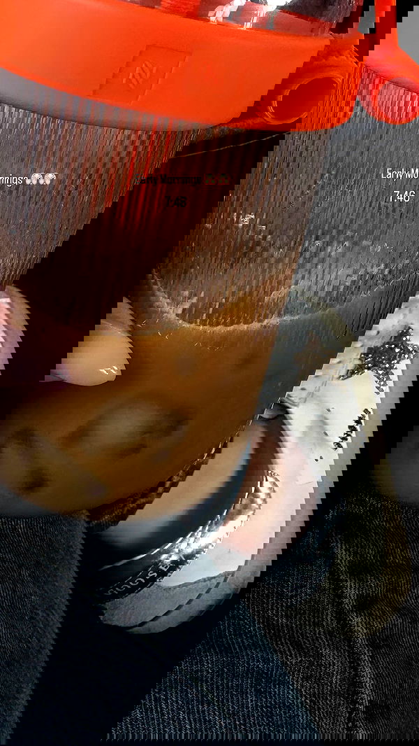 tair_alon tair_alon archive image