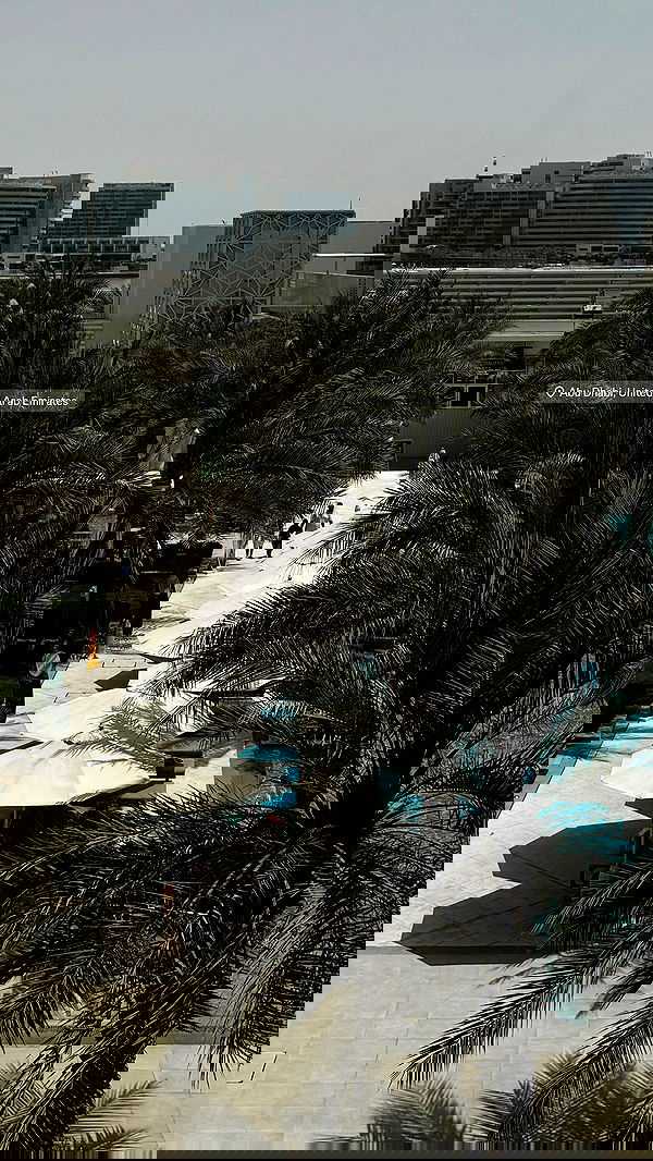 tair_alon tair_alon archive image